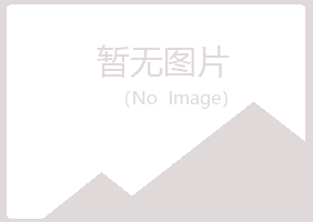 安宁女孩出版有限公司